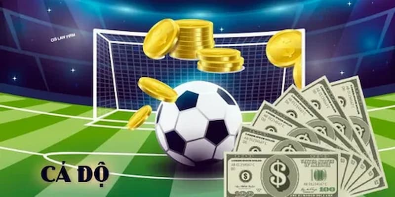 Cách đọc và áp dụng Odds trong bóng đá là gì