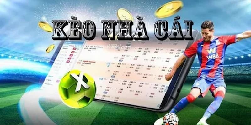 Hướng dẫn chi tiết cho người mới bắt đầu